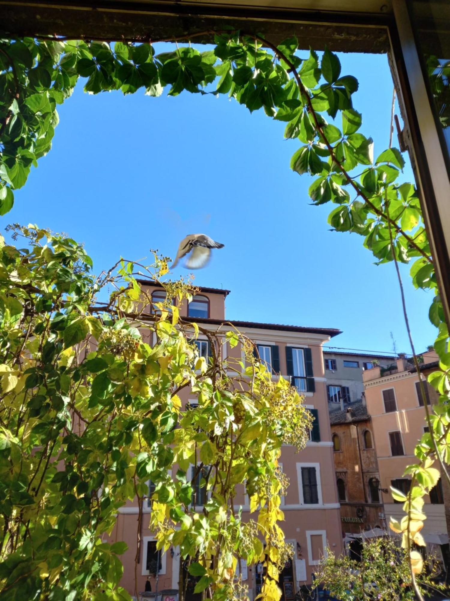 Central Apartment In Trastevere Rome Kamer foto